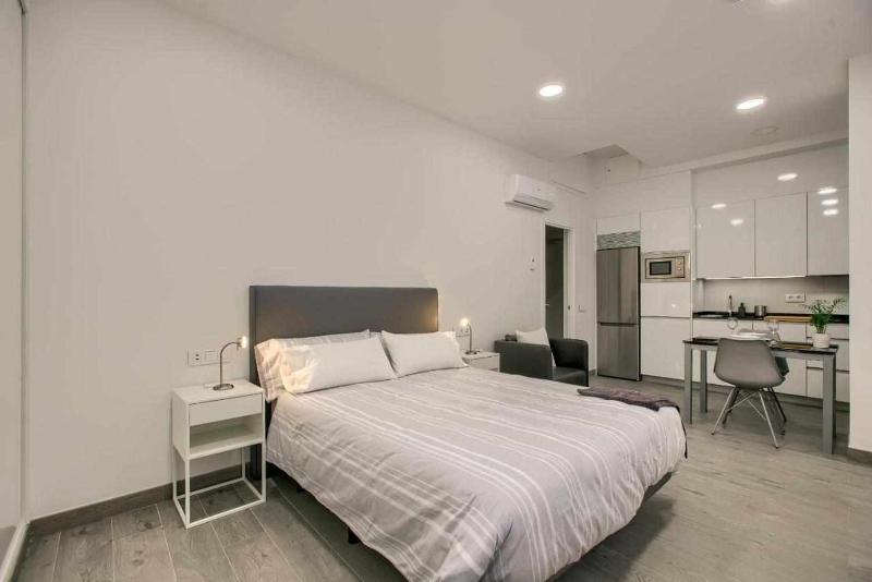 RiNa MADRID apartamento1 Images