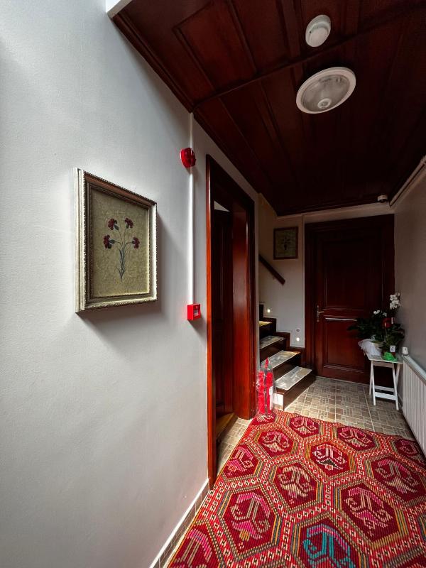 Lily Mansion - image 13