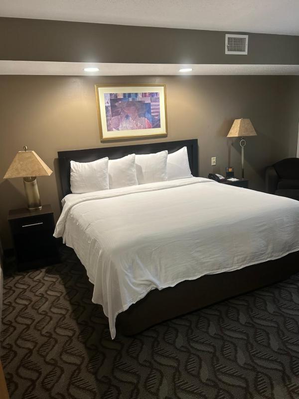 King Suite image 3