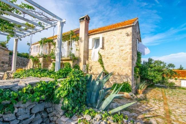 Villa with Sea View image 3