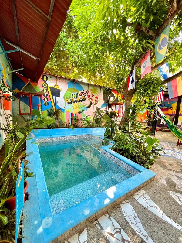 Hostal Casa Tropicalia - image 41