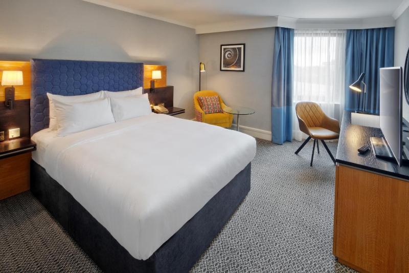 Deluxe King Room image 1