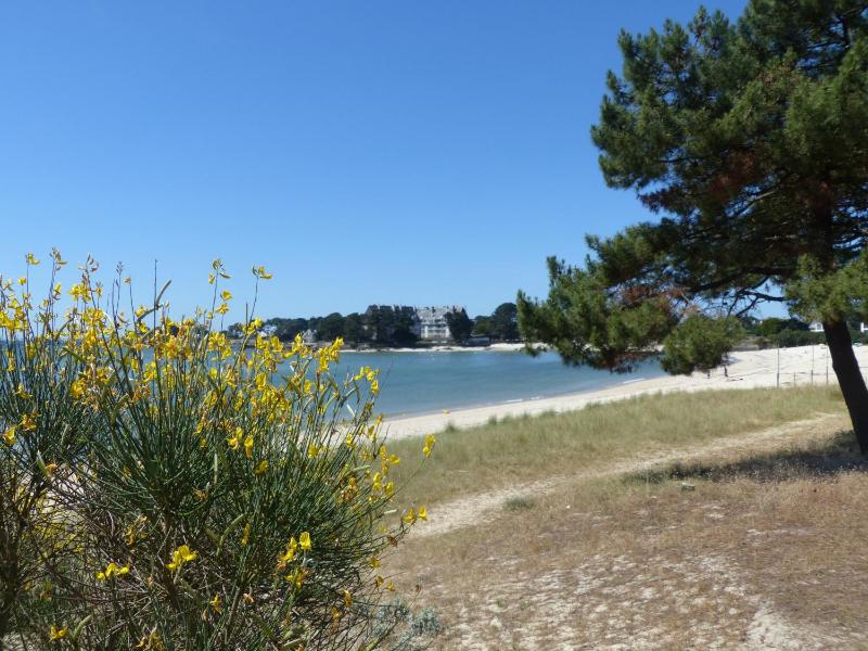 Apartment with Sea View image 1
