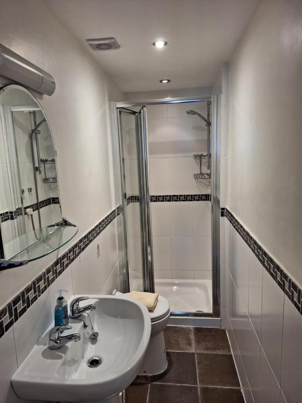 Large Single Room image 4