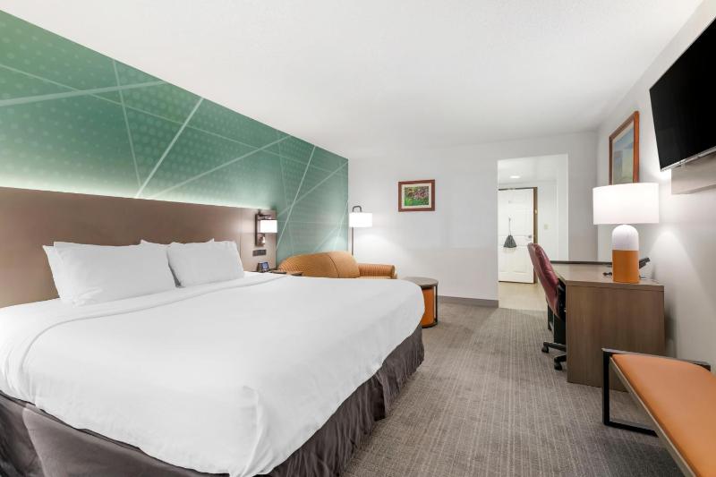 King Room with Roll-In Shower and Sofa Bed - Accessible/Non-Smoking image 2