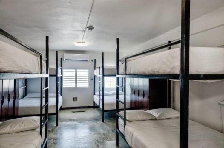 Bed in 8-Bed Dormitory Room image 4