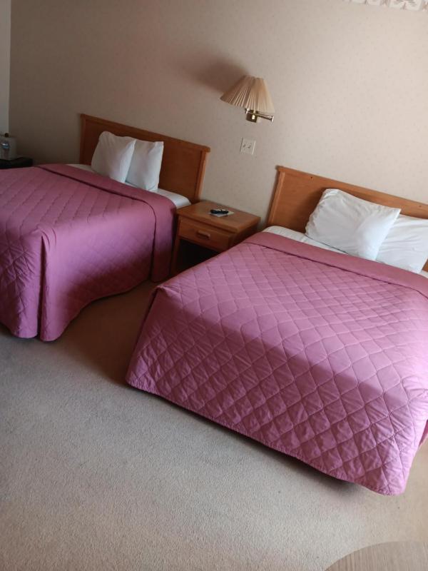 Quadruple Room image 3