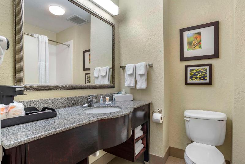 King Suite - Non-Smoking image 3