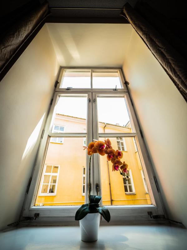 Hostel Pod Basztą - image 34