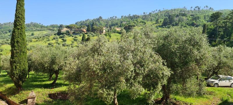 Agriturismo Villa Sardini - image 16
