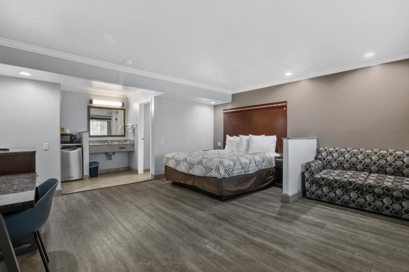 Deluxe King Suite image 4