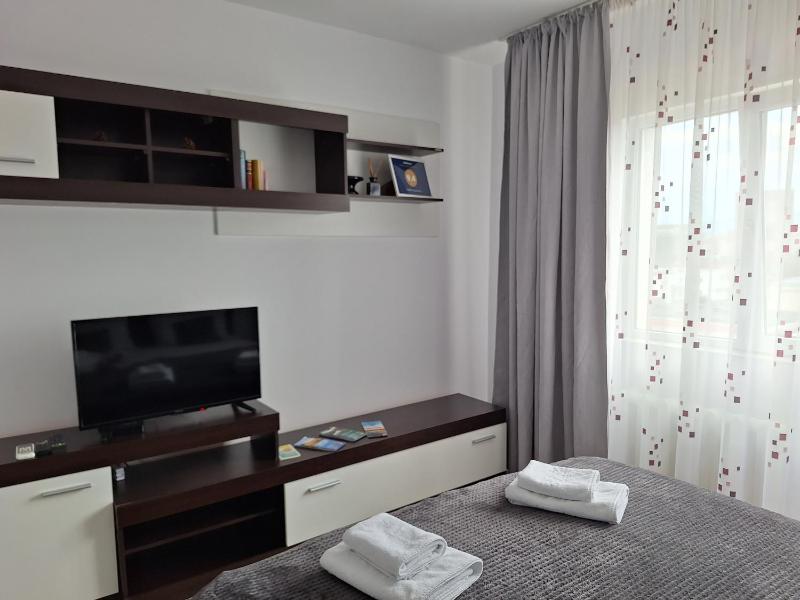 One-Bedroom Apartment image 4