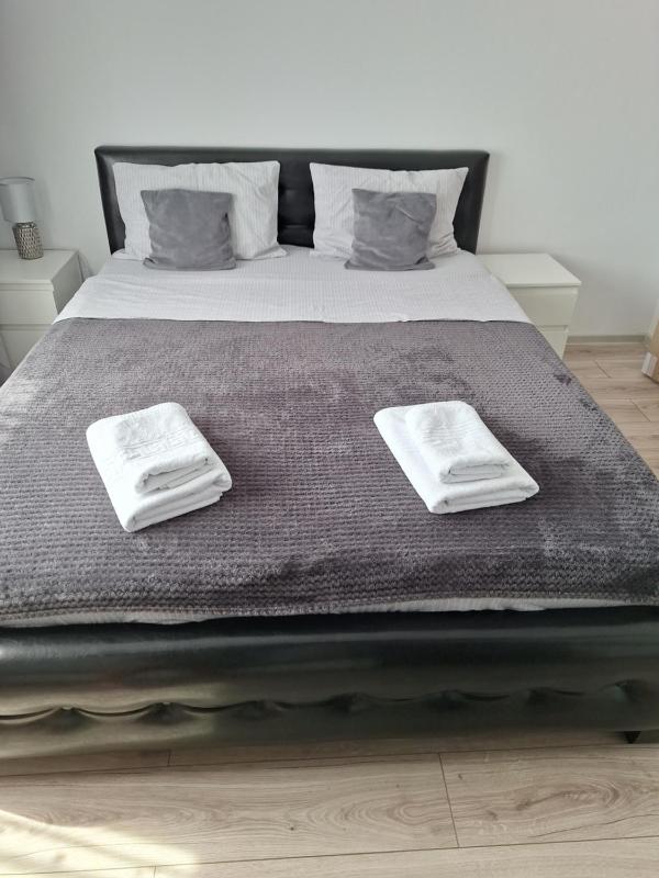One-Bedroom Apartment image 3