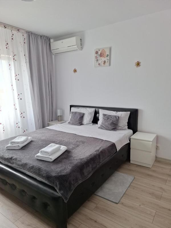 One-Bedroom Apartment image 2