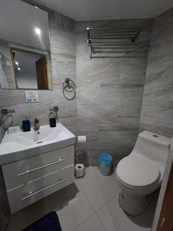 One-Bedroom Apartment image 3