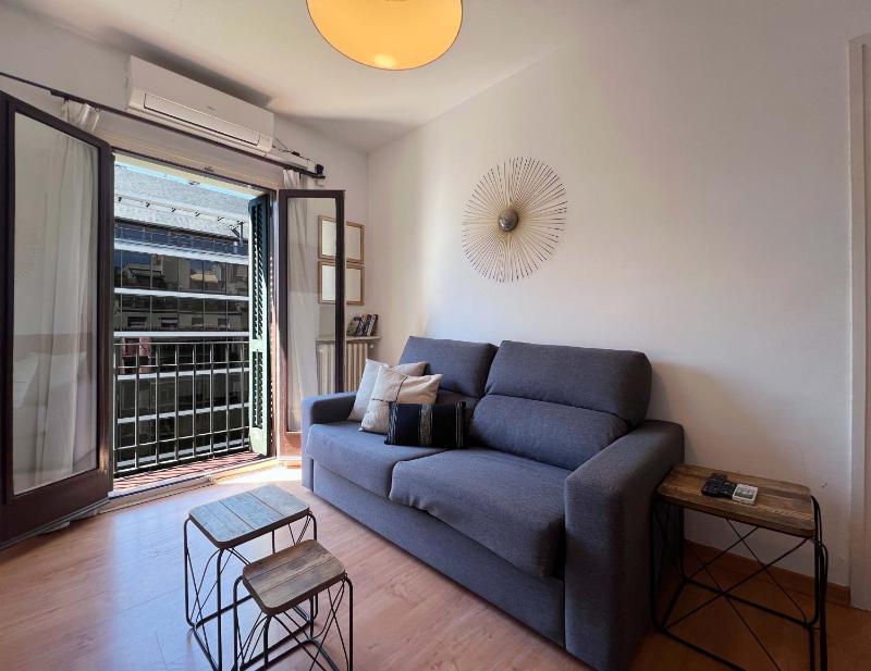One-Bedroom Apartment image 4