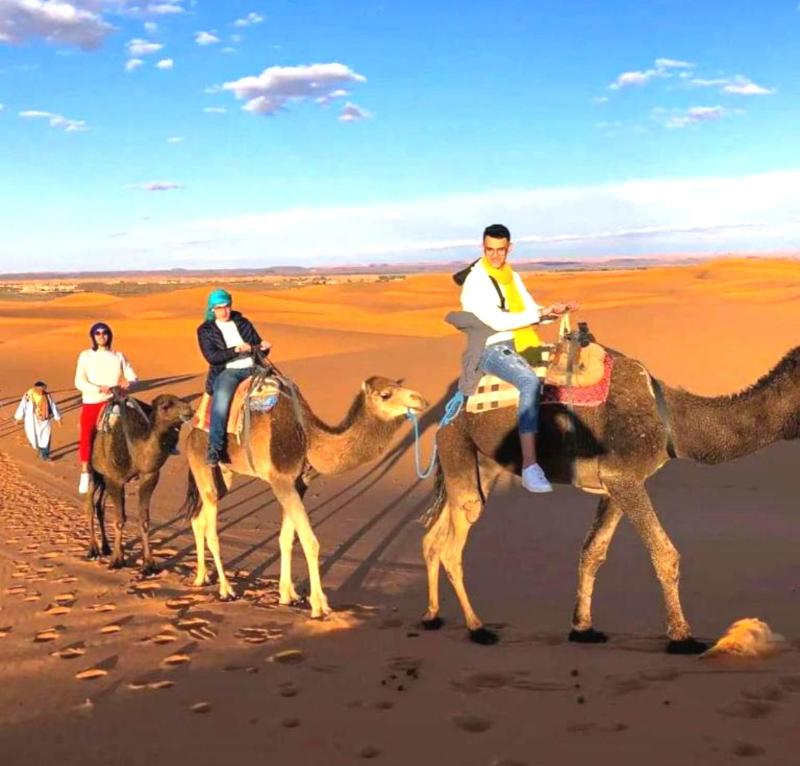 Holiday Desert Camp - image 41
