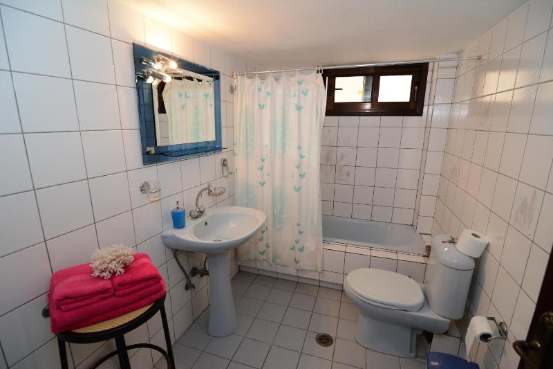 One-Bedroom Apartment image 4