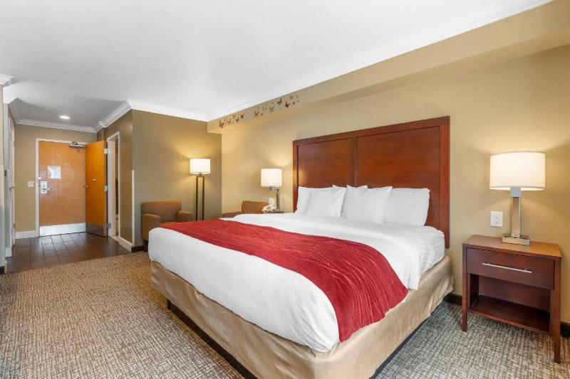 King Room - Accessible/Non-Smoking image 4