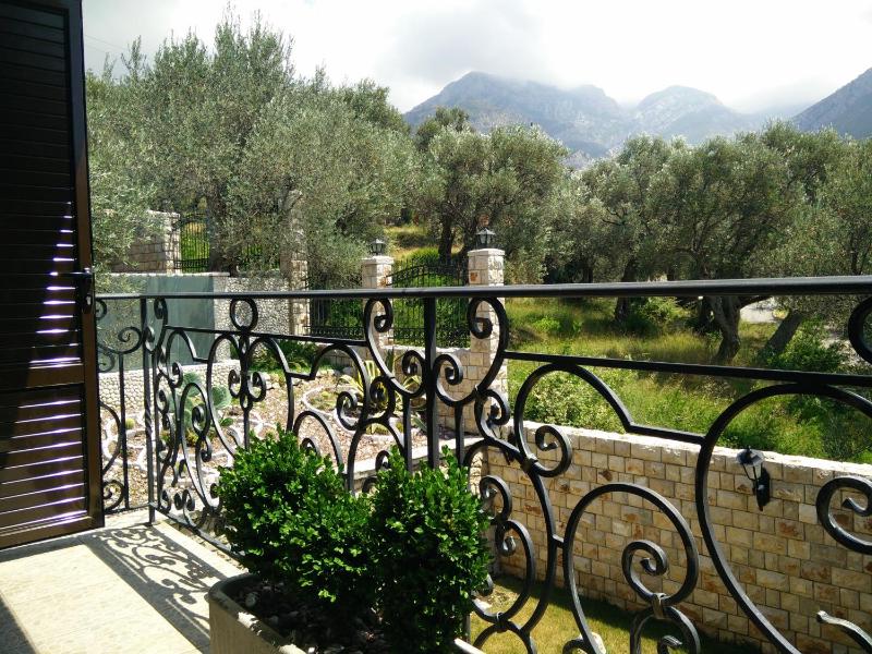 Apartment with Garden View image 4