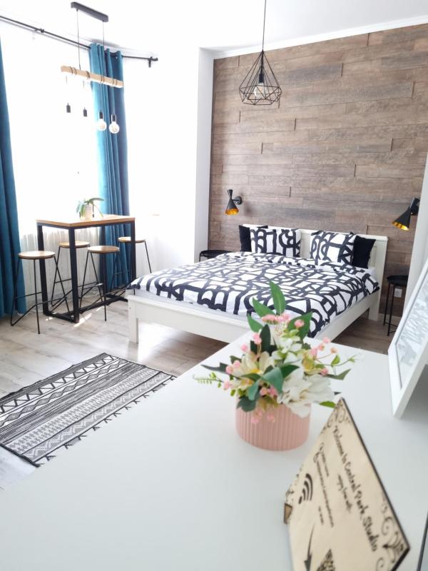 One-Bedroom Apartment image 2