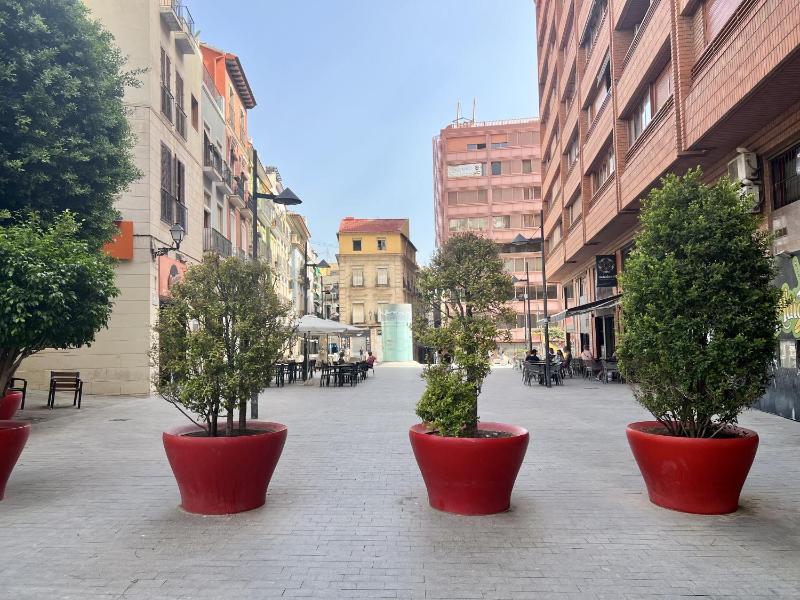 Cozy San Cristobal Apartment in Heart of Alicante - image 30