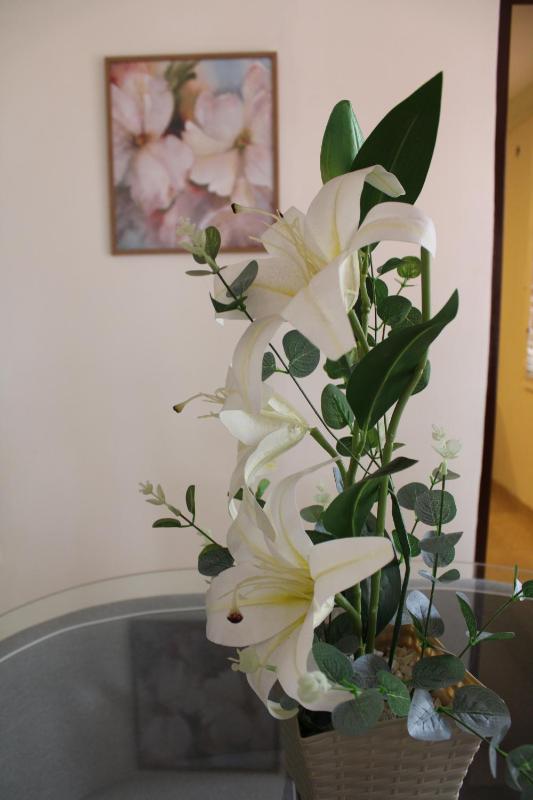 CASA HOTEL FLOR DEL VALLE - image 49