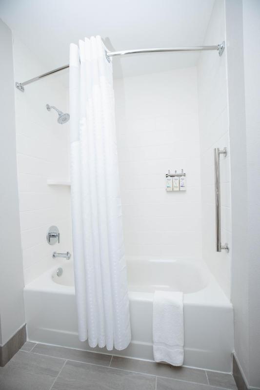Holiday Inn Express & Suites Tampa Stadium ¿ Airport Area By IHG - image 19