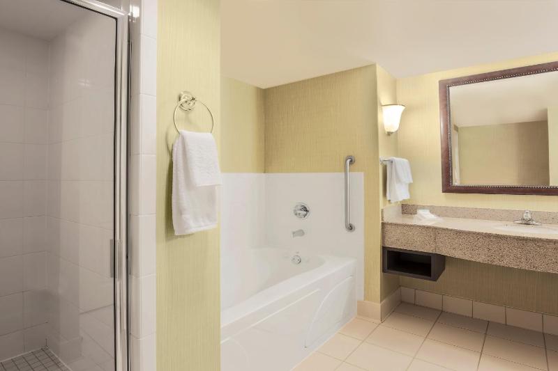 One-Bedroom King Suite with Sofa Bed image 2