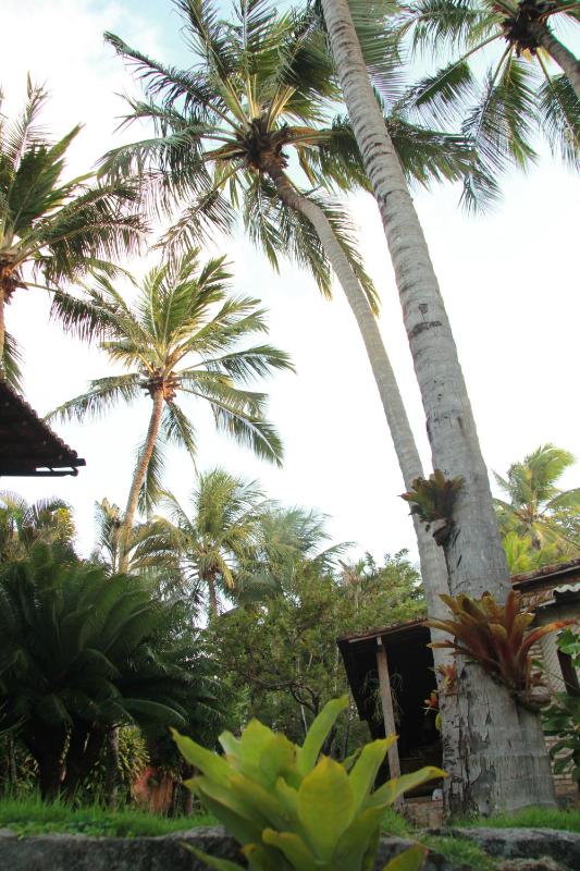 Pousada Oasis - image 2