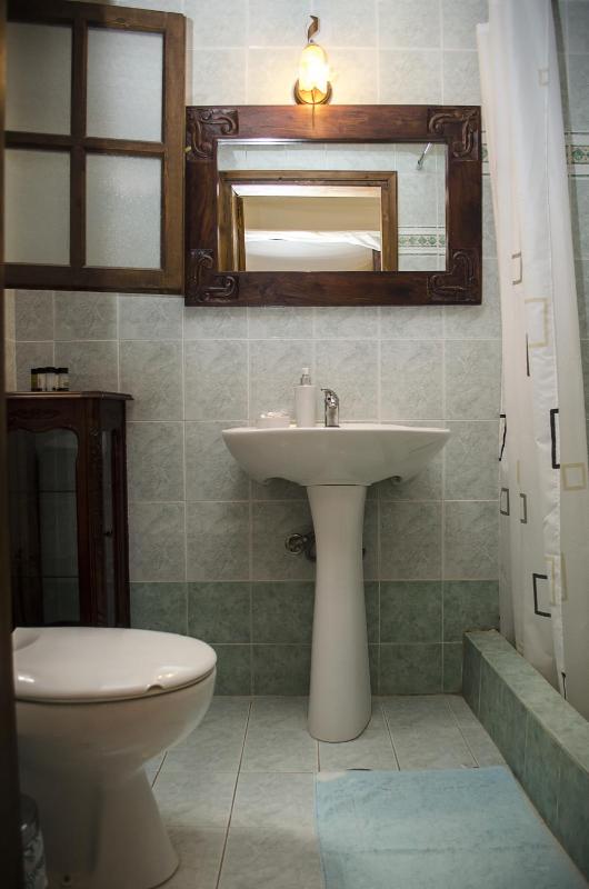 Studio Apartment with Garden View image 4