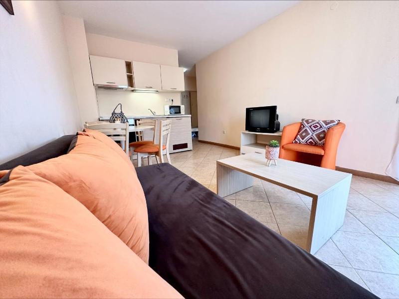Standard One-Bedroom Apartment image 4