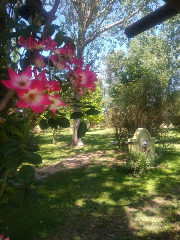 La Matera Posada de Campo - image 15
