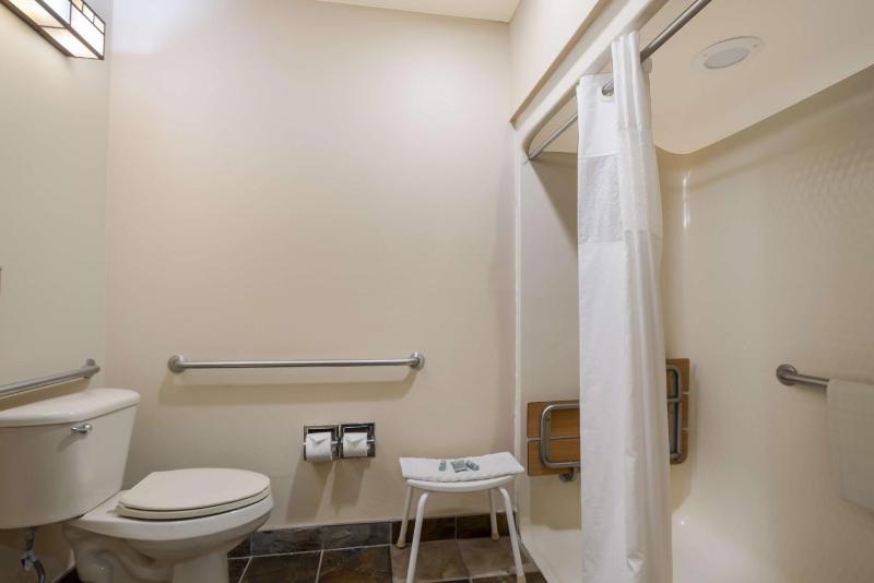 Queen Room with Roll-In Shower - Disability Access image 2