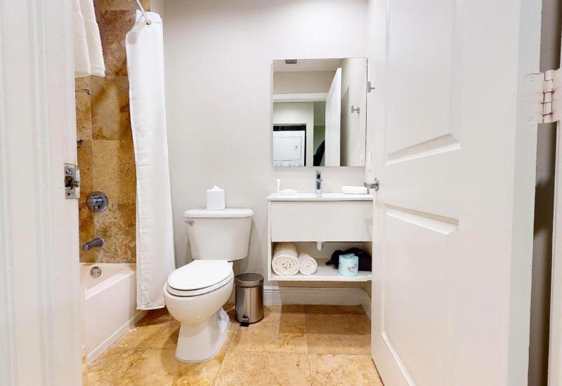 Deluxe King Suite image 4