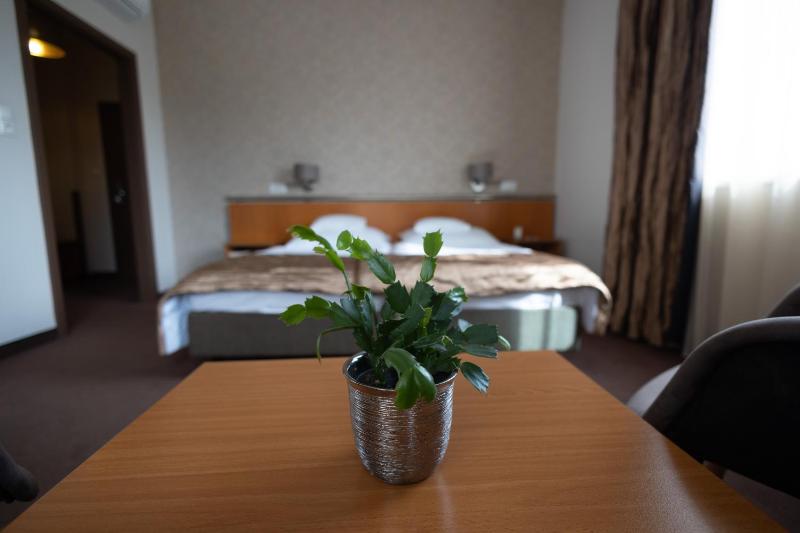 Standard Double or Twin Room image 4