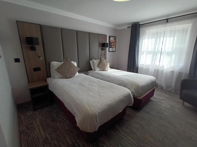 Standard Twin Room image 1