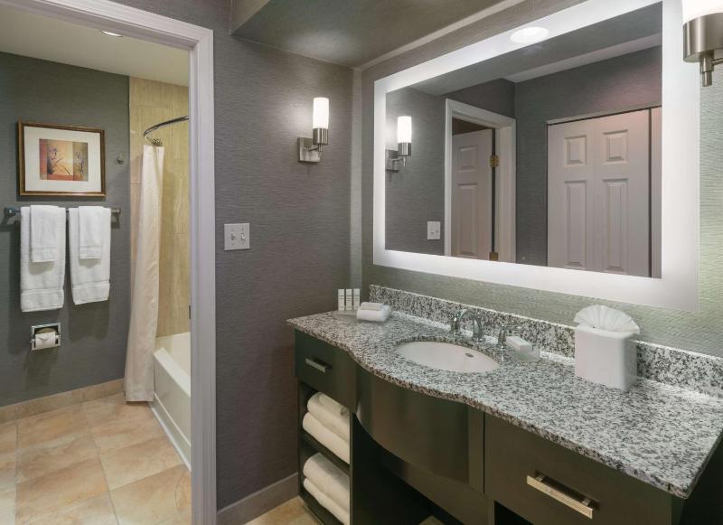 One-Bedroom King Suite with Sofa Bed image 2