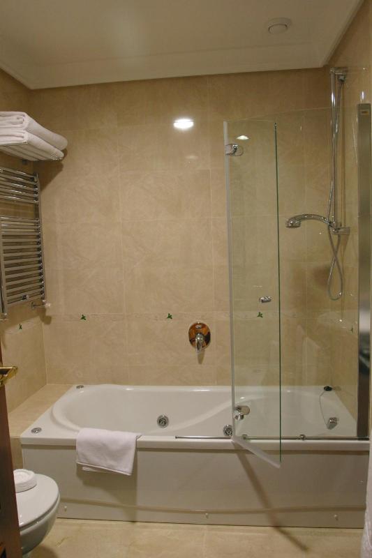 Junior Suite image 2