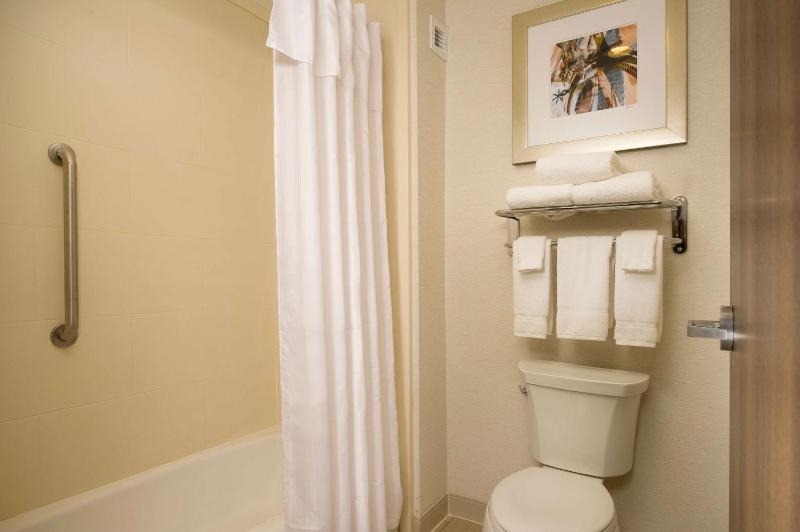 King Suite - Mobility and Hearing Access/Non-Smoking image 2