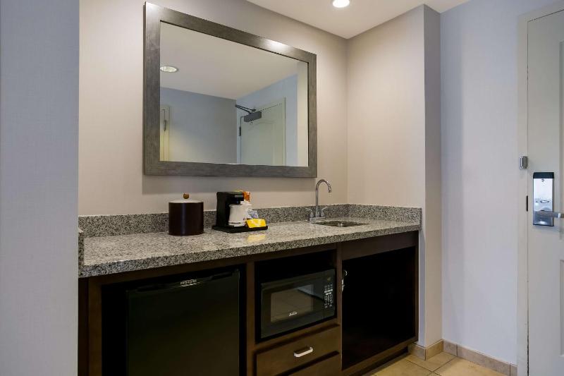 King Studio Suite - Non Smoking image 3