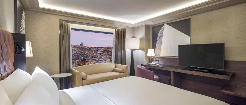 Ambassador Suite image 1