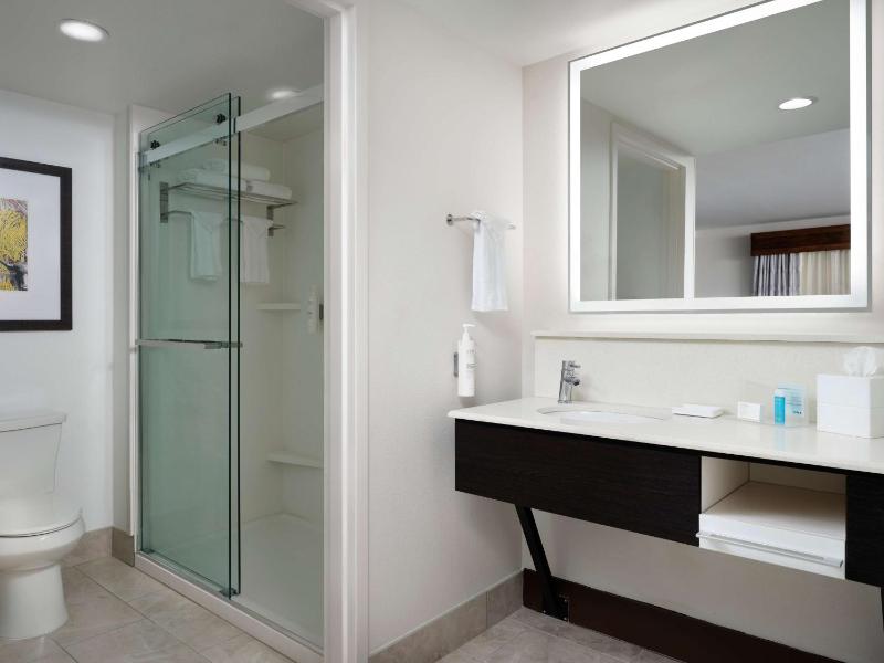 King Studio Suite - Non-Smoking image 2