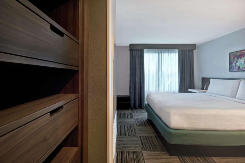 Hilton Garden Inn Houston/Galleria Area - image 16