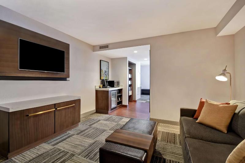 One-Bedroom King Studio Suite image 2
