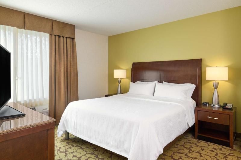 One-Bedroom King Suite with Sofa Bed image 2