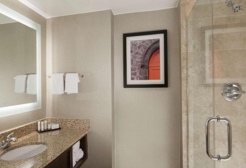 Premium King Suite - Non-Smoking image 2