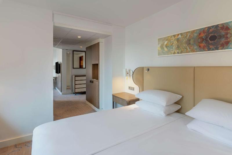 Junior King Suite with View image 4