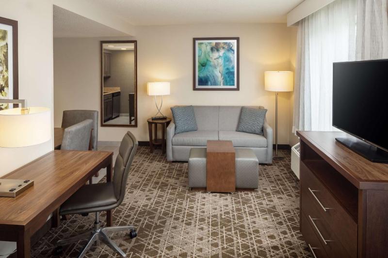 King Studio Suite image 3