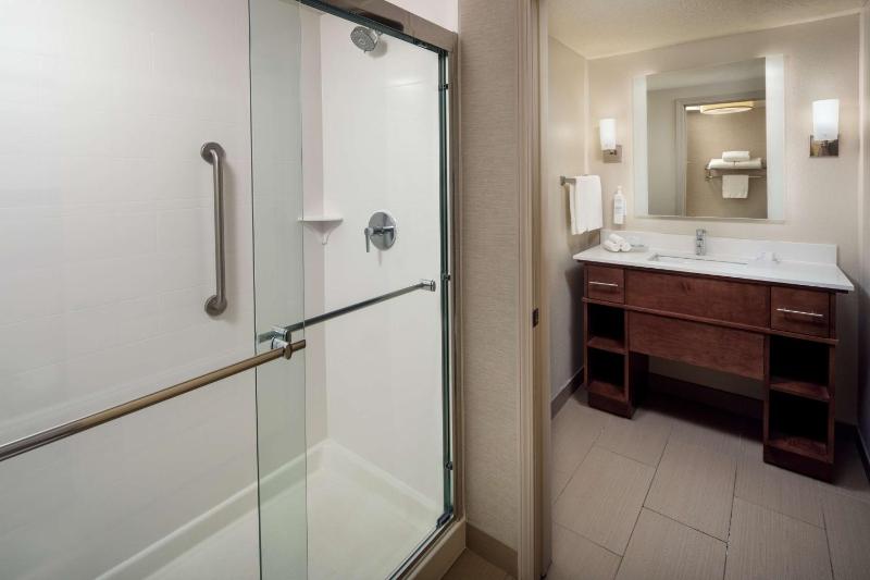 King Studio Suite image 2